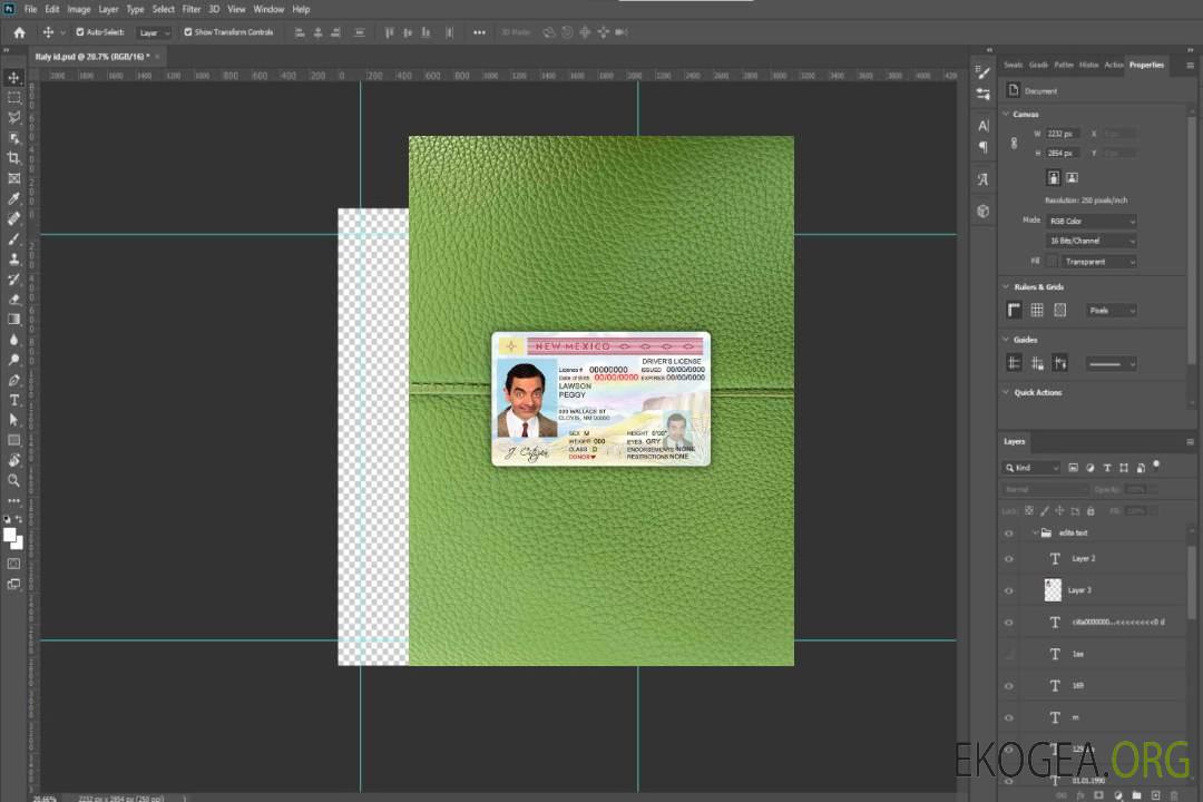 USA State New Mexico DL photolook AVANT template USA State New Mexico DL photolook AVANT template